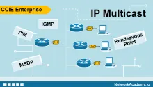 IP Multicast: Example-based Study Guide